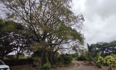 finca de venta via manta jaramijo ar