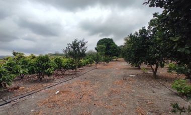 finca de venta via manta jaramijo ar