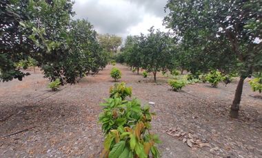 finca de venta via manta jaramijo ar