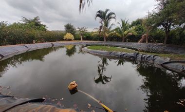 finca de venta via manta jaramijo ar