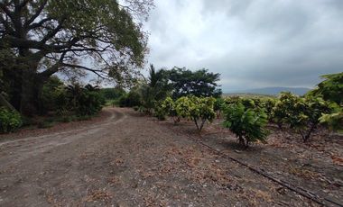 finca de venta via manta jaramijo ar