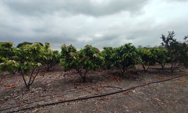 finca de venta via manta jaramijo ar