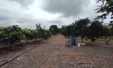 finca de venta via manta jaramijo ar