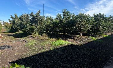 VENTA PARCELA SAN ISIDRO, QUILLOTA