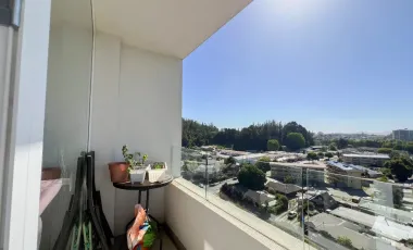 Hermoso Departamento En Venta En Collao