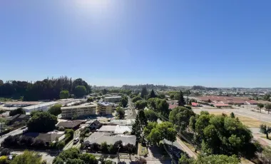 Hermoso Departamento En Venta En Collao