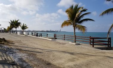 Alquiler  casa frente al mar Milina  Salinas
