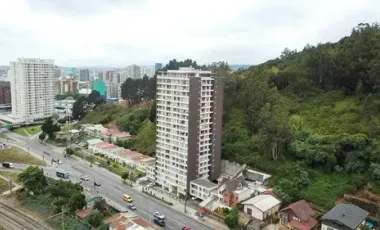 Departamento En Pedro De Valdivia