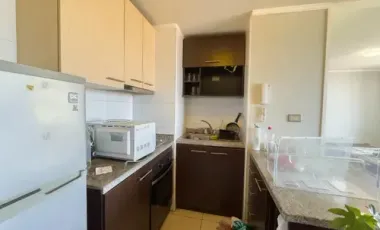 Departamento En Pedro De Valdivia