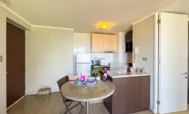 Departamento En Pedro De Valdivia