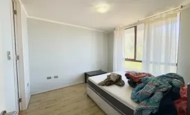 Departamento En Pedro De Valdivia