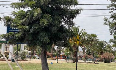 Vende Casa 3 Dormitorios En Original, 2 Baños, 2 Estacionami en Venta