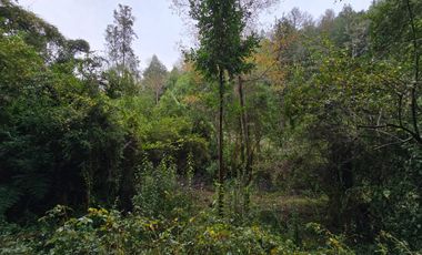 Parcela con Casa y Galpon Sector Llascahue