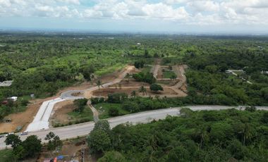 Residential Lot For Sale Along High Way Subdivision 200 Sqm Minimum Lot Size