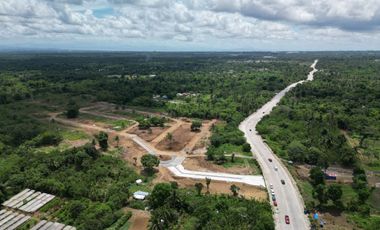 Residential Lot For Sale Along High Way Subdivision 200 Sqm Minimum Lot Size