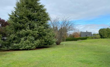 Parcela 5.000 m2 en hermoso entorno verde, frondoso.  Calles pavimentadas a un paso de la ciudad de Temuco.