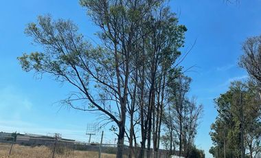 RENTA DE TERRENO EN GUADALUPE LA VENTA, EL MARQUES, ZONA AEROPUERTO, SOBRE CARRETERA