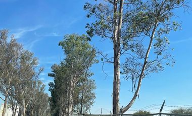 RENTA DE TERRENO EN GUADALUPE LA VENTA, EL MARQUES, ZONA AEROPUERTO, SOBRE CARRETERA