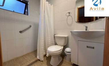 Pucón Los Calabozos (zona verde) parcela con 2 casas de 3D 2B COD.VTAP219