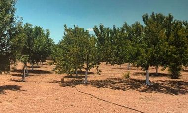 Granja en Venta a 30 Min de la Cd de Chihuahua dentro de Fraccionamiento