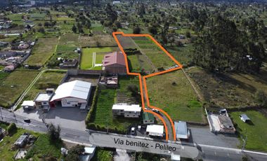 Haz crecer tu inversión: terreno agrícola en Benítez, Pelileo