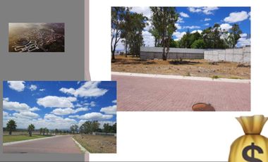 Terreno en venta en ciudad maderas