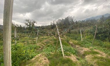 SE VENDE FINCA PARA AGRICULTURA EN EL MUNICIPIO DE BOYACA