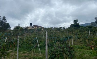 SE VENDE FINCA PARA AGRICULTURA EN EL MUNICIPIO DE BOYACA