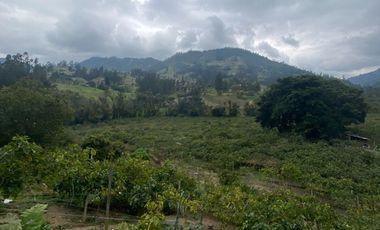 SE VENDE FINCA PARA AGRICULTURA EN EL MUNICIPIO DE BOYACA