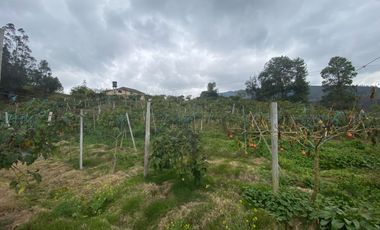 SE VENDE FINCA PARA AGRICULTURA EN EL MUNICIPIO DE BOYACA