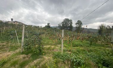 SE VENDE FINCA PARA AGRICULTURA EN EL MUNICIPIO DE BOYACA