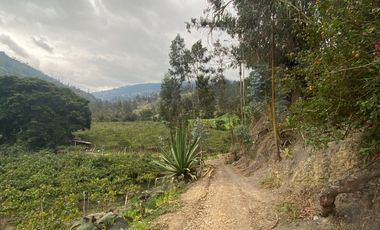 SE VENDE FINCA PARA AGRICULTURA EN EL MUNICIPIO DE BOYACA