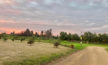 Venta Parcela 5000m2 Los Quillayes Talagante