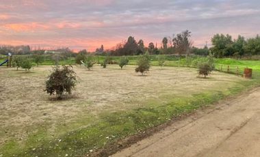 Venta Parcela 5000m2 Los Quillayes Talagante