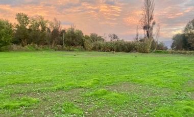 Venta Parcela 5000m2 Los Quillayes Talagante