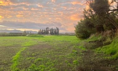 Venta Parcela 5000m2 Los Quillayes Talagante