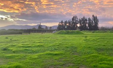 Venta Parcela 5000m2 Los Quillayes Talagante