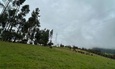 SE VENDE FINCA EN SOTAQUIRA VEREDA CIATOCA