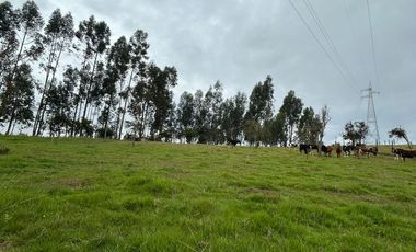 SE VENDE FINCA EN SOTAQUIRA VEREDA CIATOCA