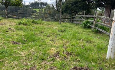 SE VENDE FINCA EN SOTAQUIRA VEREDA CIATOCA