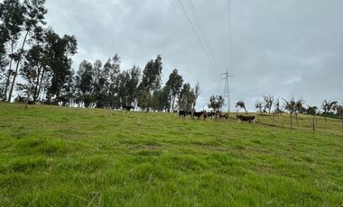 SE VENDE FINCA EN SOTAQUIRA VEREDA CIATOCA