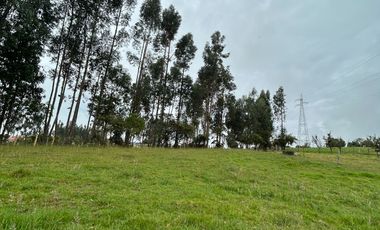 SE VENDE FINCA EN SOTAQUIRA VEREDA CIATOCA