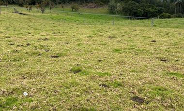 SE VENDE FINCA EN SOTAQUIRA VEREDA CIATOCA