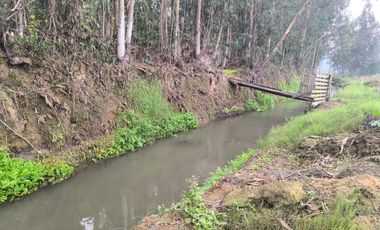 Venta de Parcela Agrícola con Producción de Cítricos