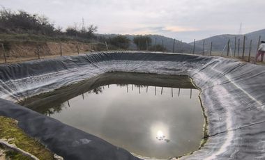 Venta de Parcela Agrícola con Producción de Cítricos