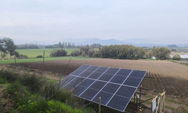 Venta de Parcela Agrícola con Producción de Cítricos