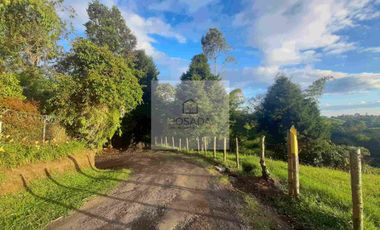 ARRIENDO CASA CAMPESTRE CIRCASIA QUINDIO