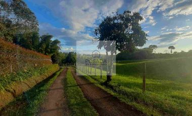 ARRIENDO CASA CAMPESTRE CIRCASIA QUINDIO