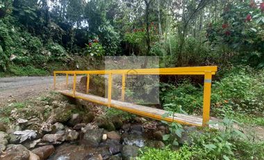 ARRIENDO CASA CAMPESTRE CIRCASIA QUINDIO