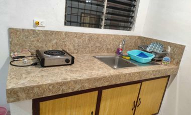 FOR RENT‼️ - HOUSE & LOT IN DAUIN